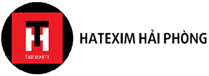 Công ty Cổ phần Đầu tư & Thương mại Hatexim Hải Phòng